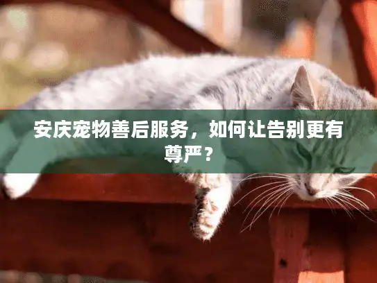 安庆宠物善后服务，如何让告别更有尊严？
