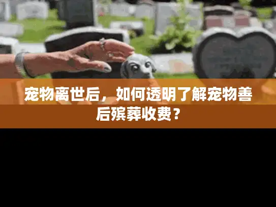 宠物离世后，如何透明了解宠物善后殡葬收费？
