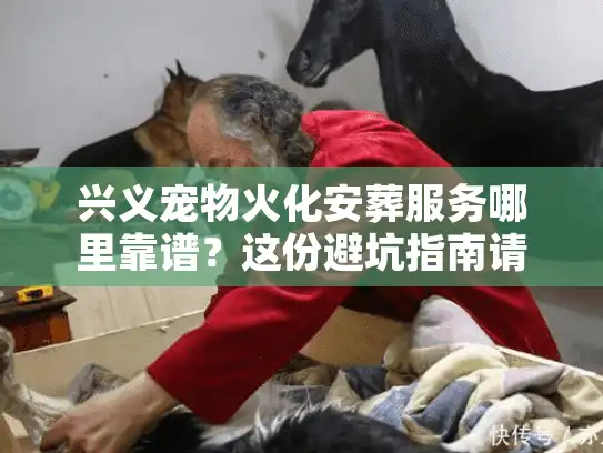 兴义宠物火化安葬服务哪里靠谱？这份避坑指南请收好