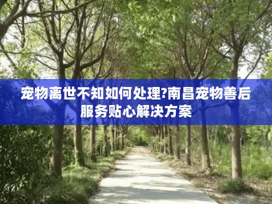 宠物离世不知如何处理?南昌宠物善后服务贴心解决方案