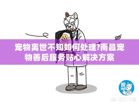 宠物离世不知如何处理?南昌宠物善后服务贴心解决方案