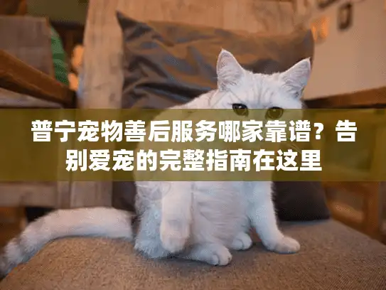 普宁宠物善后服务哪家靠谱？告别爱宠的完整指南在这里