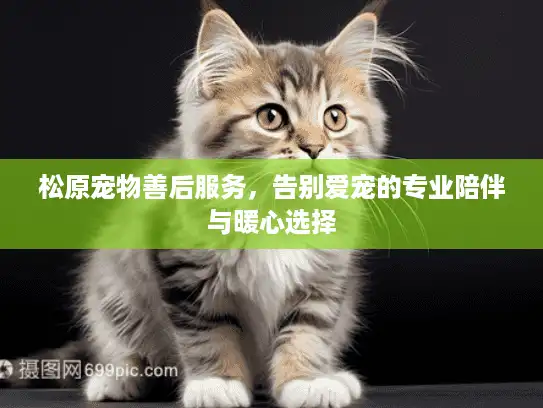 松原宠物善后服务，告别爱宠的专业陪伴与暖心选择