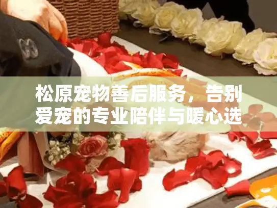 松原宠物善后服务，告别爱宠的专业陪伴与暖心选择