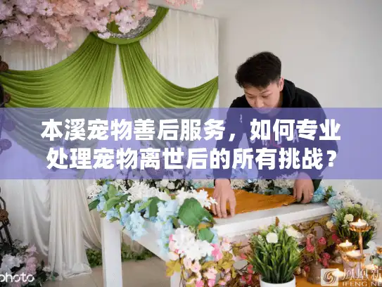 本溪宠物善后服务，如何专业处理宠物离世后的所有挑战？