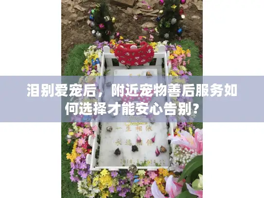 泪别爱宠后，附近宠物善后服务如何选择才能安心告别？
