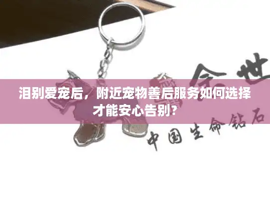 泪别爱宠后，附近宠物善后服务如何选择才能安心告别？