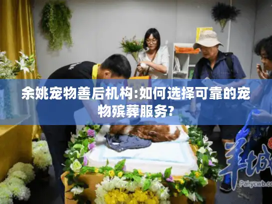 余姚宠物善后机构:如何选择可靠的宠物殡葬服务?