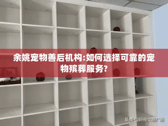余姚宠物善后机构:如何选择可靠的宠物殡葬服务?