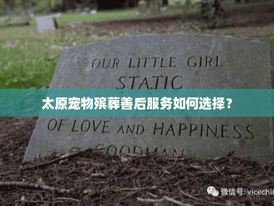 太原宠物殡葬善后服务如何选择？