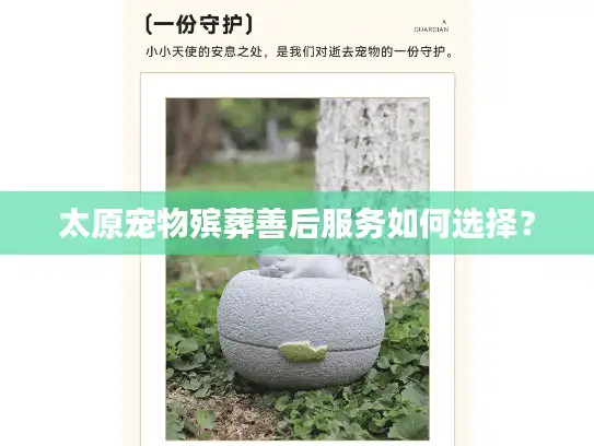 太原宠物殡葬善后服务如何选择？