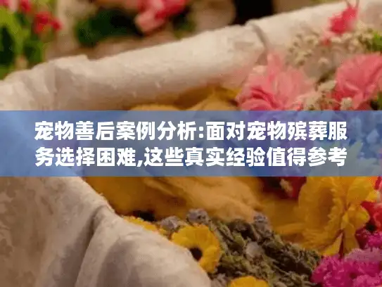 宠物善后案例分析:面对宠物殡葬服务选择困难,这些真实经验值得参考