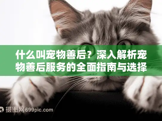 什么叫宠物善后？深入解析宠物善后服务的全面指南与选择建议