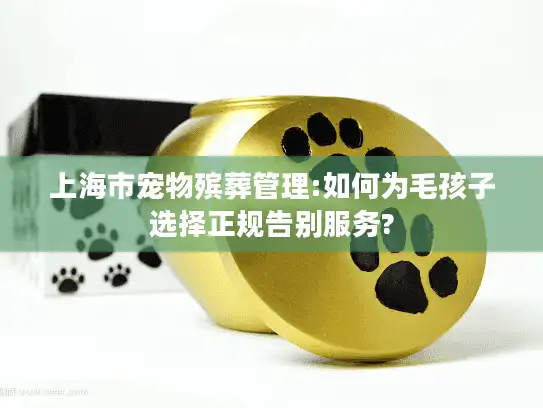 上海市宠物殡葬管理:如何为毛孩子选择正规告别服务?