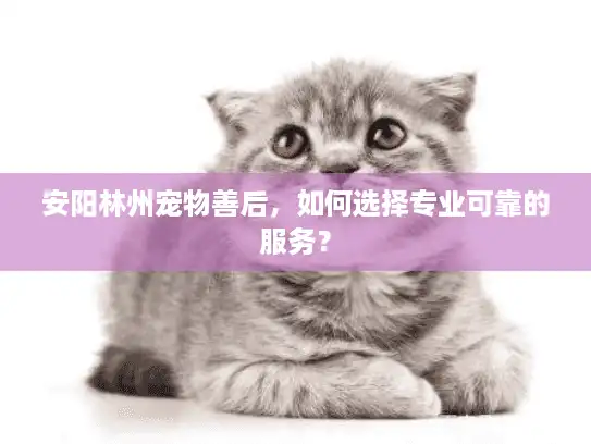 安阳林州宠物善后，如何选择专业可靠的服务？