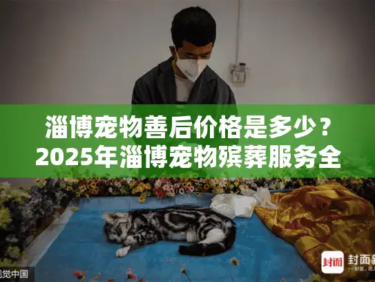淄博宠物善后价格是多少？2025年淄博宠物殡葬服务全面价格解析
