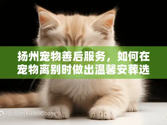 扬州宠物善后服务，如何在宠物离别时做出温馨安葬选择？