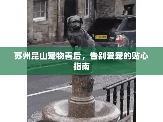 苏州昆山宠物善后，告别爱宠的贴心指南