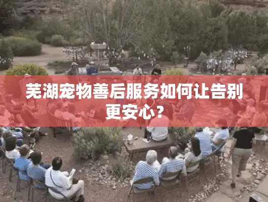芜湖宠物善后服务如何让告别更安心？
