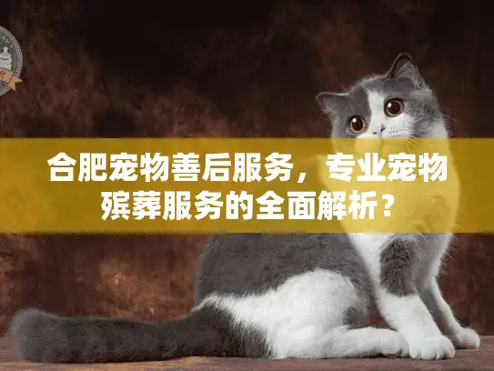 合肥宠物善后服务，专业宠物殡葬服务的全面解析？
