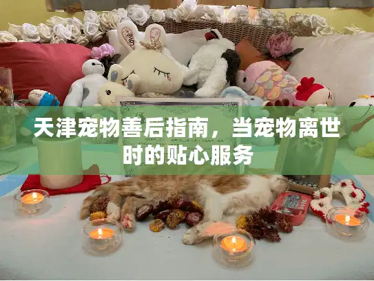 天津宠物善后指南，当宠物离世时的贴心服务