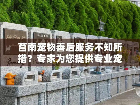 莒南宠物善后服务不知所措？专家为您提供专业宠物殡葬解决方案