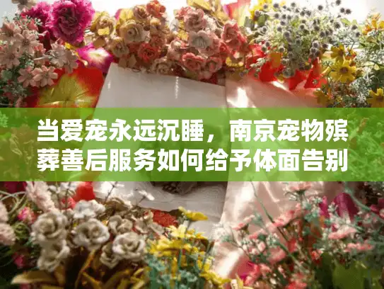 当爱宠永远沉睡，南京宠物殡葬善后服务如何给予体面告别