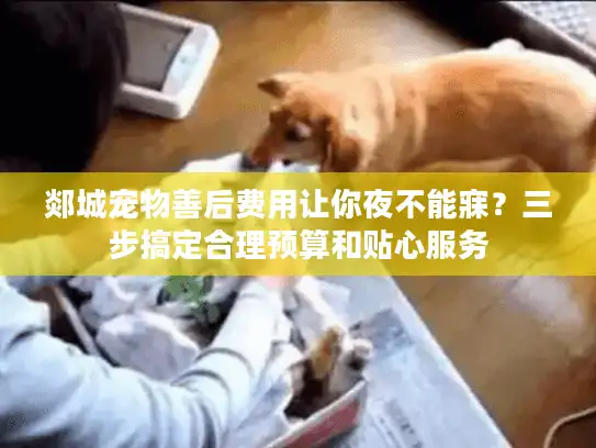 郯城宠物善后费用让你夜不能寐？三步搞定合理预算和贴心服务