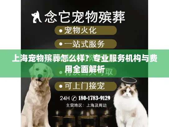 上海宠物殡葬怎么样？专业服务机构与费用全面解析