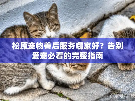 松原宠物善后服务哪家好？告别爱宠必看的完整指南