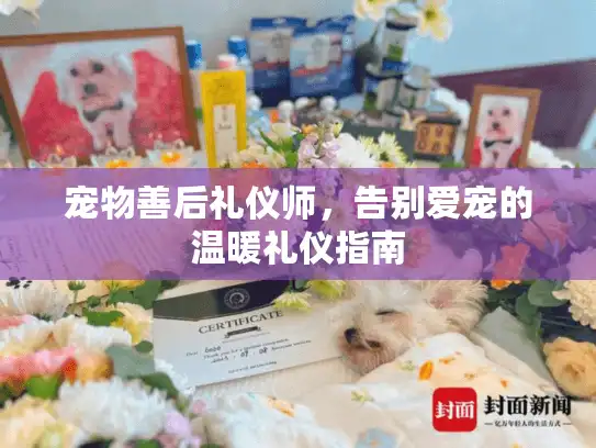 宠物善后礼仪师，告别爱宠的温暖礼仪指南