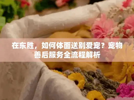 在东胜，如何体面送别爱宠？宠物善后服务全流程解析