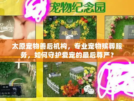 太原宠物善后机构，专业宠物殡葬服务，如何守护爱宠的最后尊严？