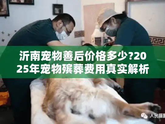 沂南宠物善后价格多少?2025年宠物殡葬费用真实解析