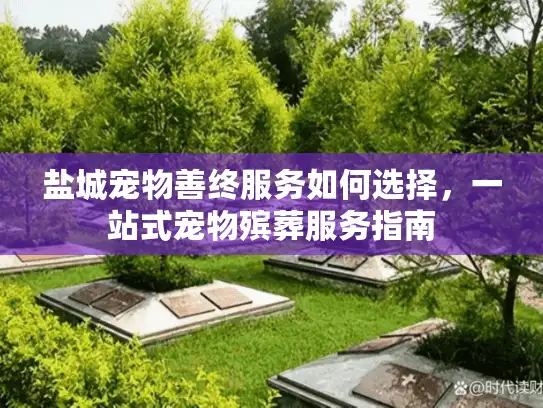 盐城宠物善终服务如何选择，一站式宠物殡葬服务指南