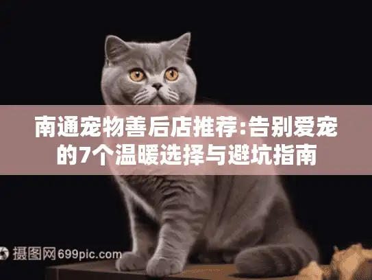 南通宠物善后店推荐:告别爱宠的7个温暖选择与避坑指南