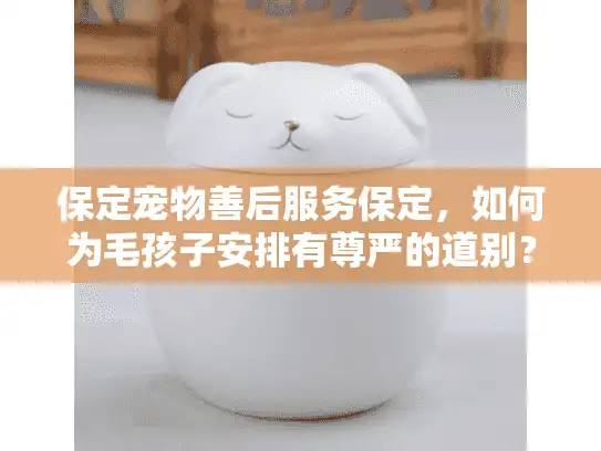 保定宠物善后服务保定，如何为毛孩子安排有尊严的道别？