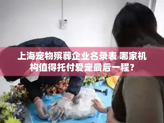 上海宠物殡葬企业名录表 哪家机构值得托付爱宠最后一程？