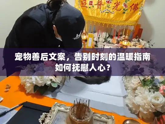 宠物善后文案，告别时刻的温暖指南如何抚慰人心？
