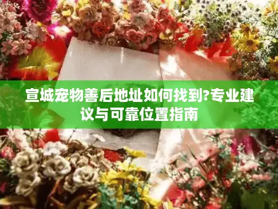 宣城宠物善后地址如何找到?专业建议与可靠位置指南