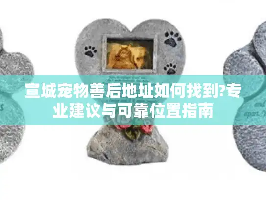 宣城宠物善后地址如何找到?专业建议与可靠位置指南