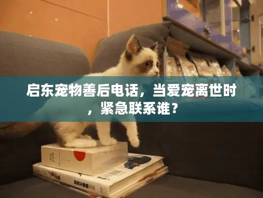 启东宠物善后电话，当爱宠离世时，紧急联系谁？