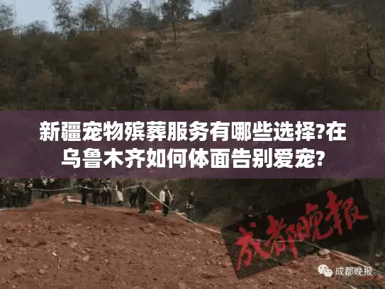 新疆宠物殡葬服务有哪些选择?在乌鲁木齐如何体面告别爱宠?
