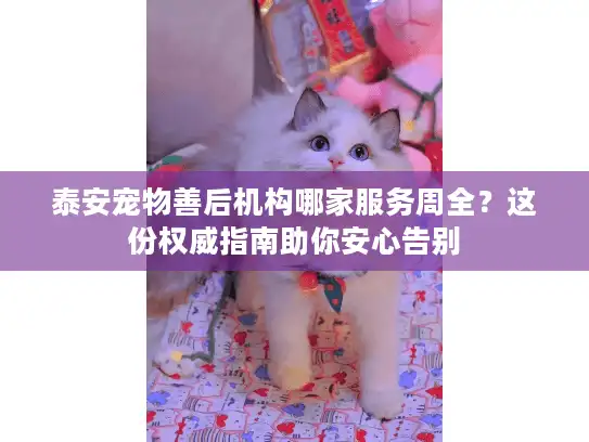 泰安宠物善后机构哪家服务周全？这份权威指南助你安心告别