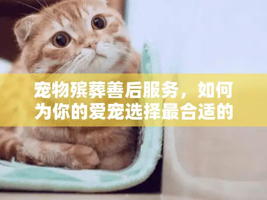宠物殡葬善后服务，如何为你的爱宠选择最合适的告别方式？