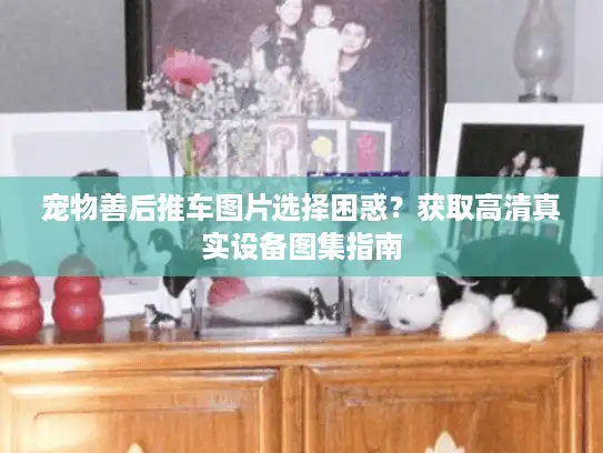 宠物善后推车图片选择困惑？获取高清真实设备图集指南
