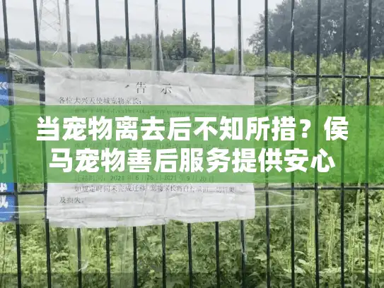 当宠物离去后不知所措？侯马宠物善后服务提供安心告别
