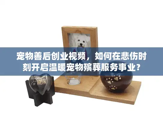 宠物善后创业视频，如何在悲伤时刻开启温暖宠物殡葬服务事业？