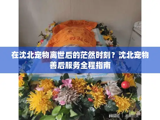 在沈北宠物离世后的茫然时刻？沈北宠物善后服务全程指南