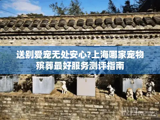 送别爱宠无处安心?上海哪家宠物殡葬最好服务测评指南